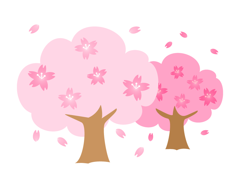 満開の2本の桜の木のイラスト