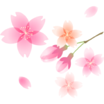 ふんわりとした桜の花と蕾のイラスト