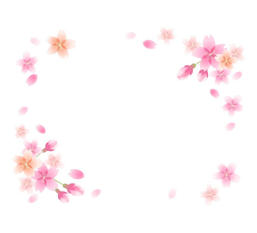 ふんわりとした桜の花と蕾のフレーム・枠イラスト