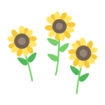 3輪のひまわりの花のイラスト