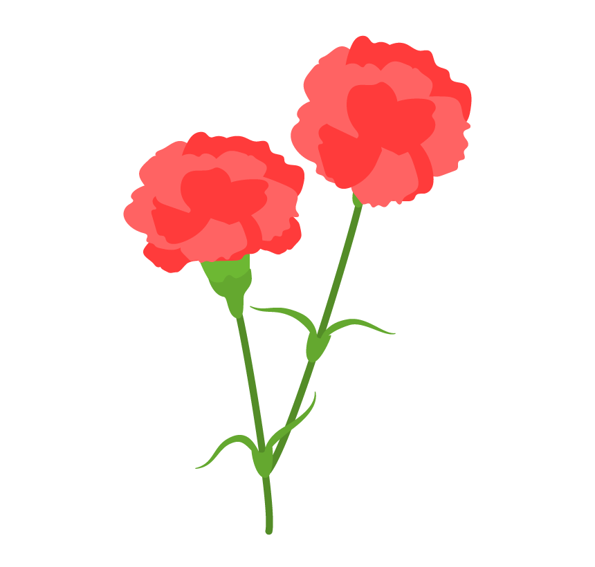 赤いカーネーションの花のイラスト